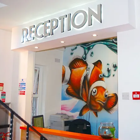 戈尔韦城市旅舍