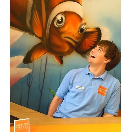 Vandrerhjem Galway City Hostel Galway